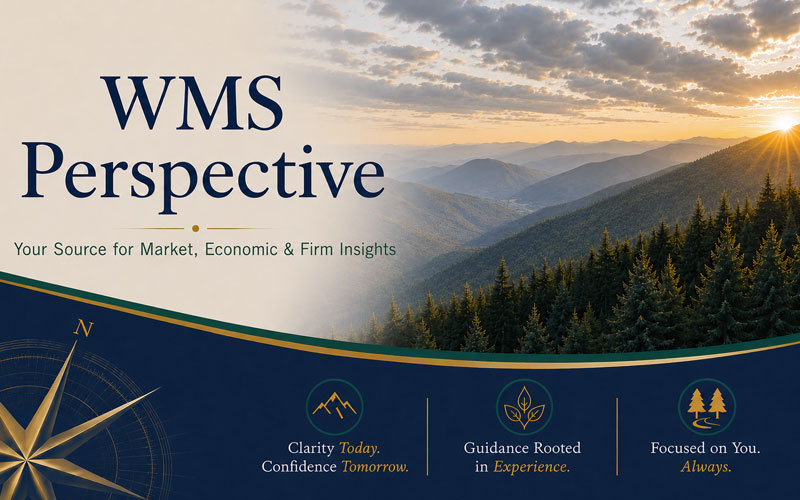 WMS Perspective